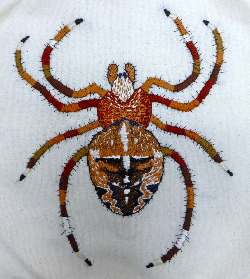 Araneus diadematus